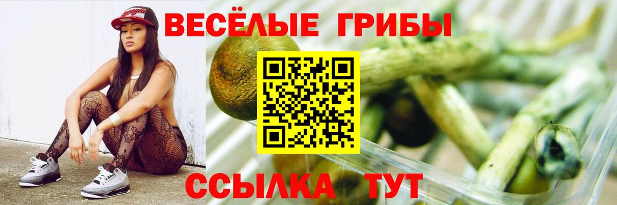 Хасавюрт  Галлюциногенные грибы мицелий  дарнет шоп  Вход с VPN 